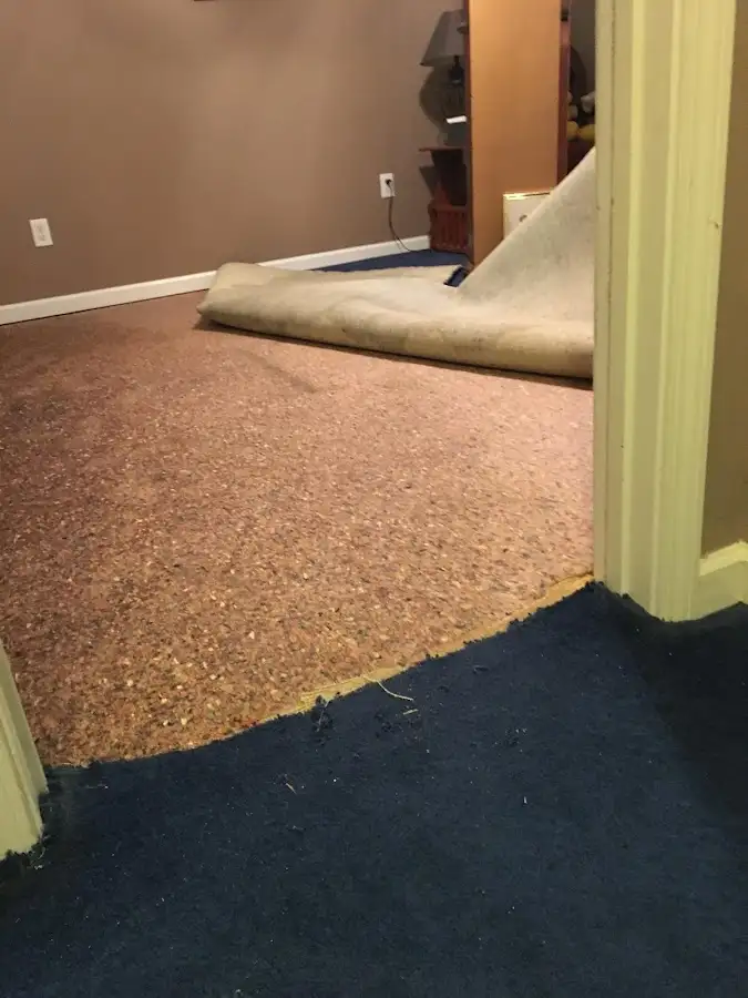 Carpet pad removal revealing water damage during Water Mitigation Services in Bristol