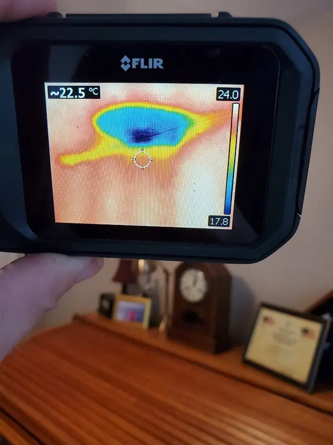 Thermal imaging inspection for water damage in Bristol